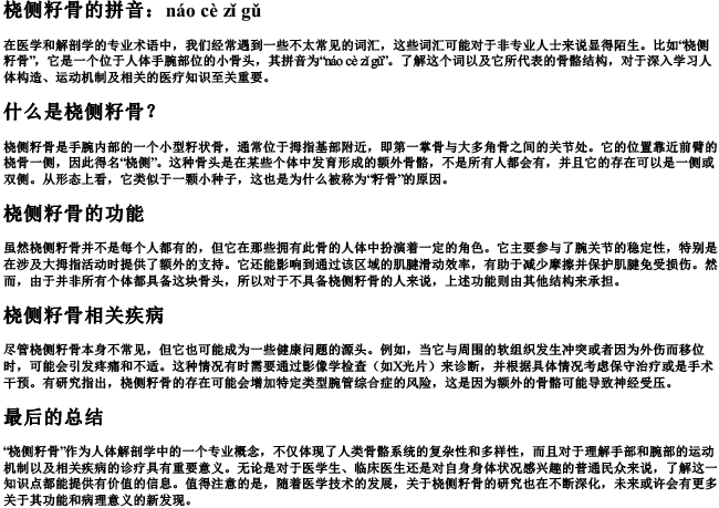 桡侧籽骨的拼音