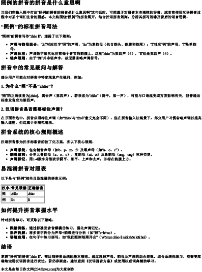 照例的拼音的拼音是什么意思啊